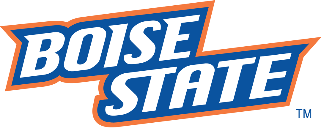 Boise State Broncos 2002-2012 Wordmark Logo v2 diy DTF decal sticker